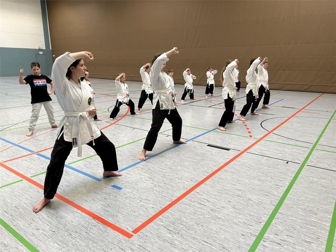 Beim Kwoon Kerken-Geldern wird die wirkungsvolle und vielseitige Kampfkunst „Chen Tao Wushu“ unterrichtet. Foto: privat