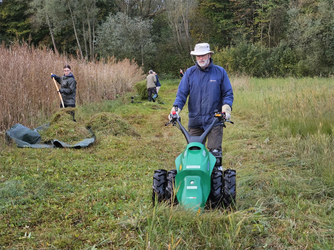 Beim NRW-weiten Mitmachtag der Biologischen Stationen können Interessierte gemeinsam mit Naturschutzreferentin Steffi Heese die artenreichen Orchideenwiesen erhalten und dabei einen besonderen Lebensraum für seltene Pflanzen, Schmetterlinge und zahlreiche weitere Insekten schützen. Foto: Steffi Heese