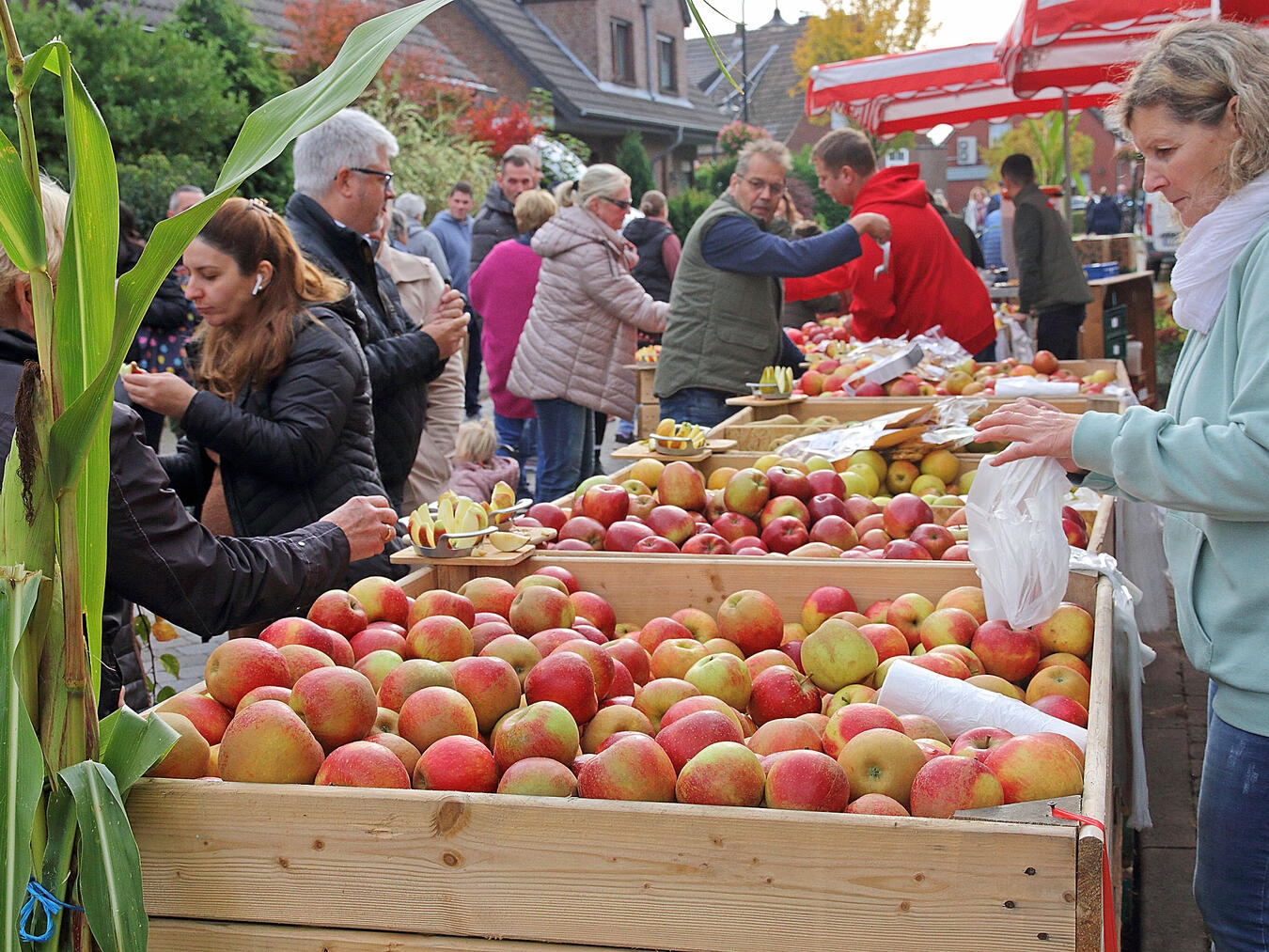Beim nunmehr 27. Herbst- und Kartoffelmarkt präsentieren Anbieter und Vereine ein vielfältiges Frische-Angebot ins Ponter Dorfzentrum.NN-Foto: Theo Leie