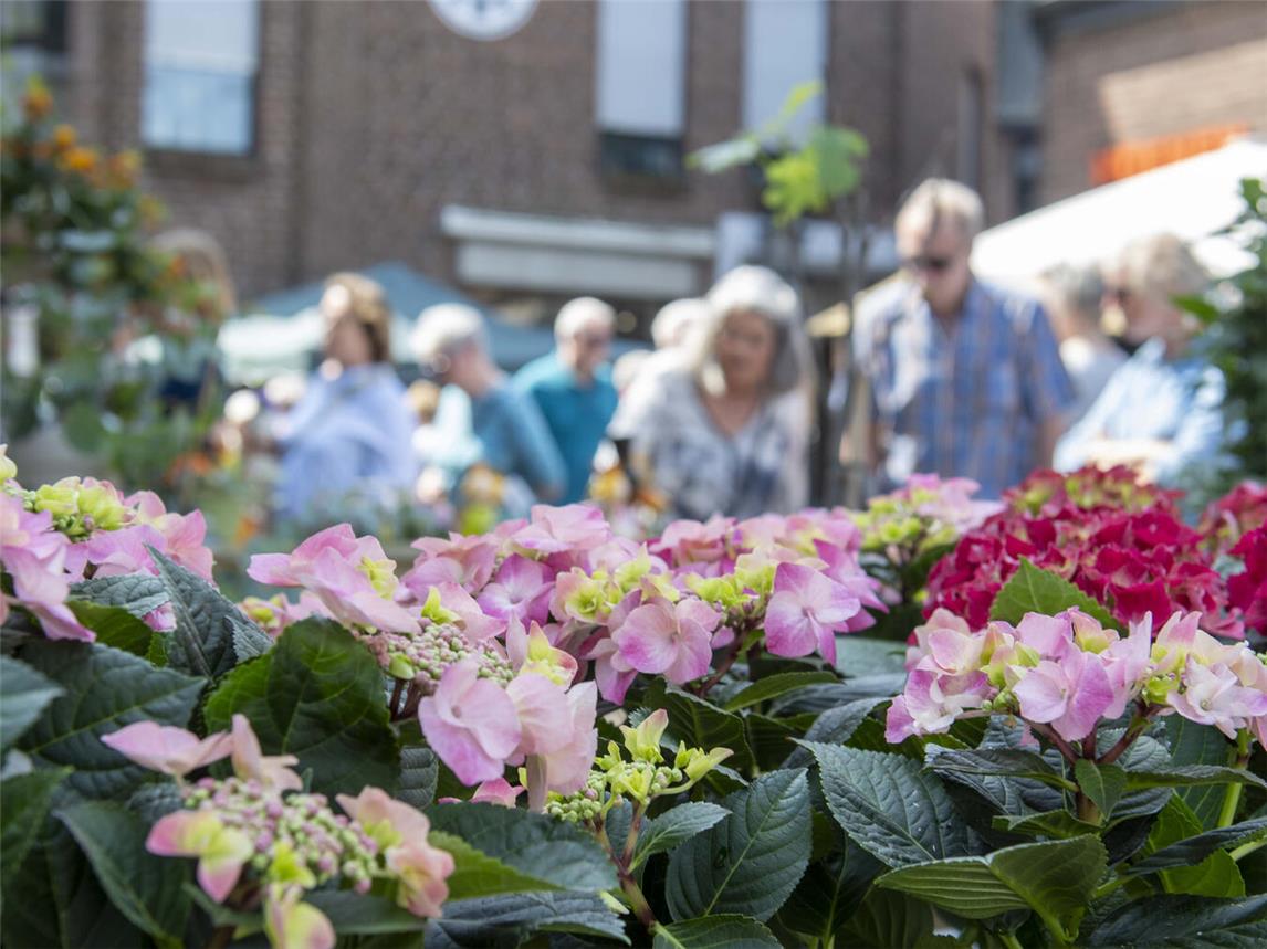 Aussteller für den Sommermarkt „Stroelse Soomer“ gesucht 