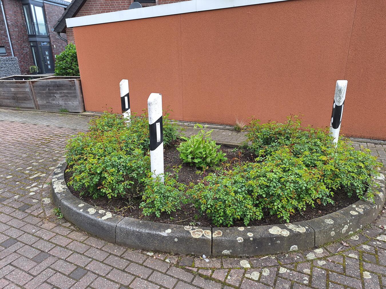 Grüne Helden gesucht 