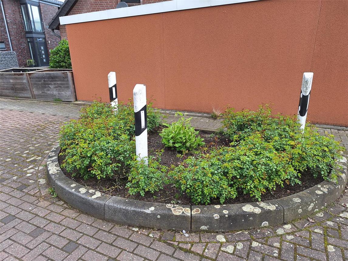 Grüne Helden gesucht