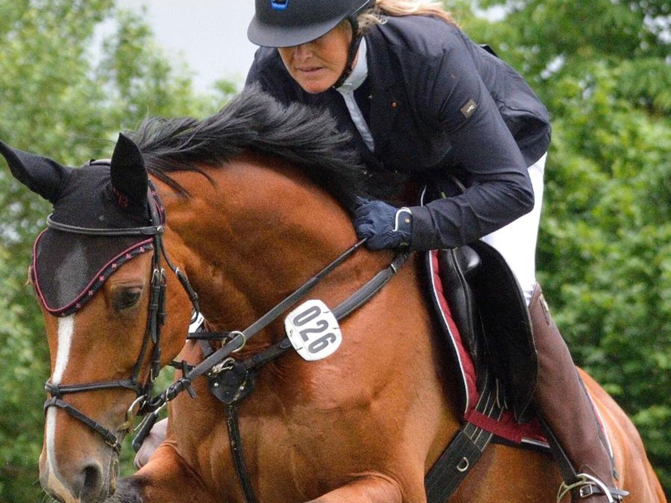 Spannende Dressur- und Springprüfungen 