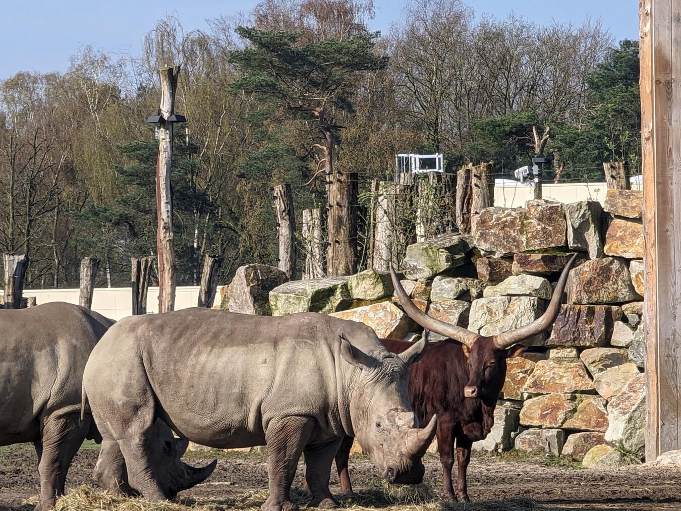 Vom kreativen Viertel zu den „Big Five“ nach Afrika 