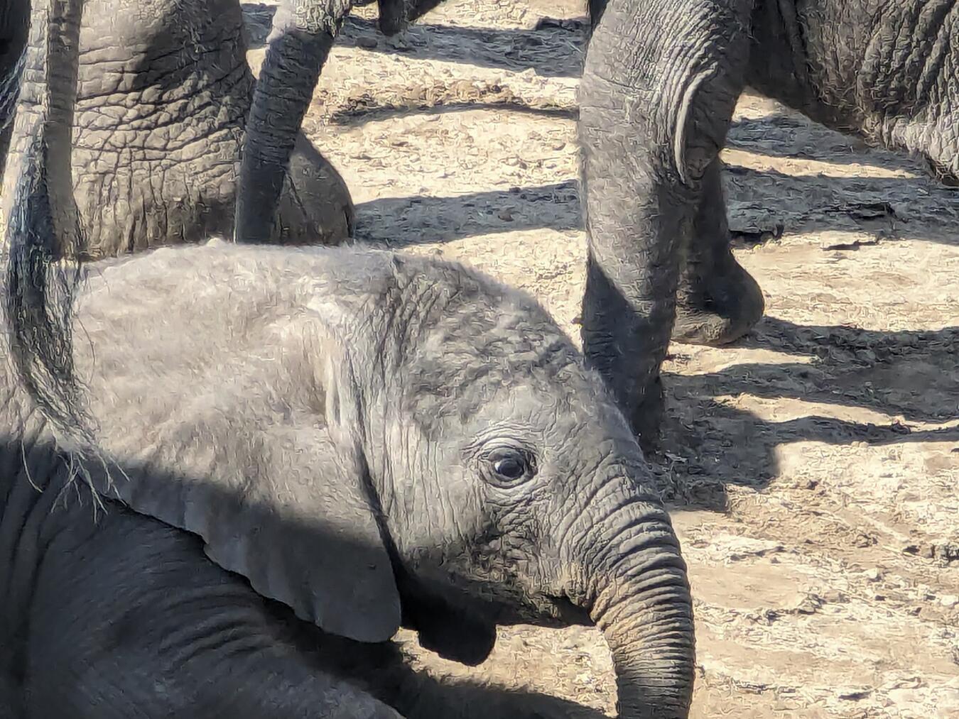 Vom kreativen Viertel zu den „Big Five“ nach Afrika 