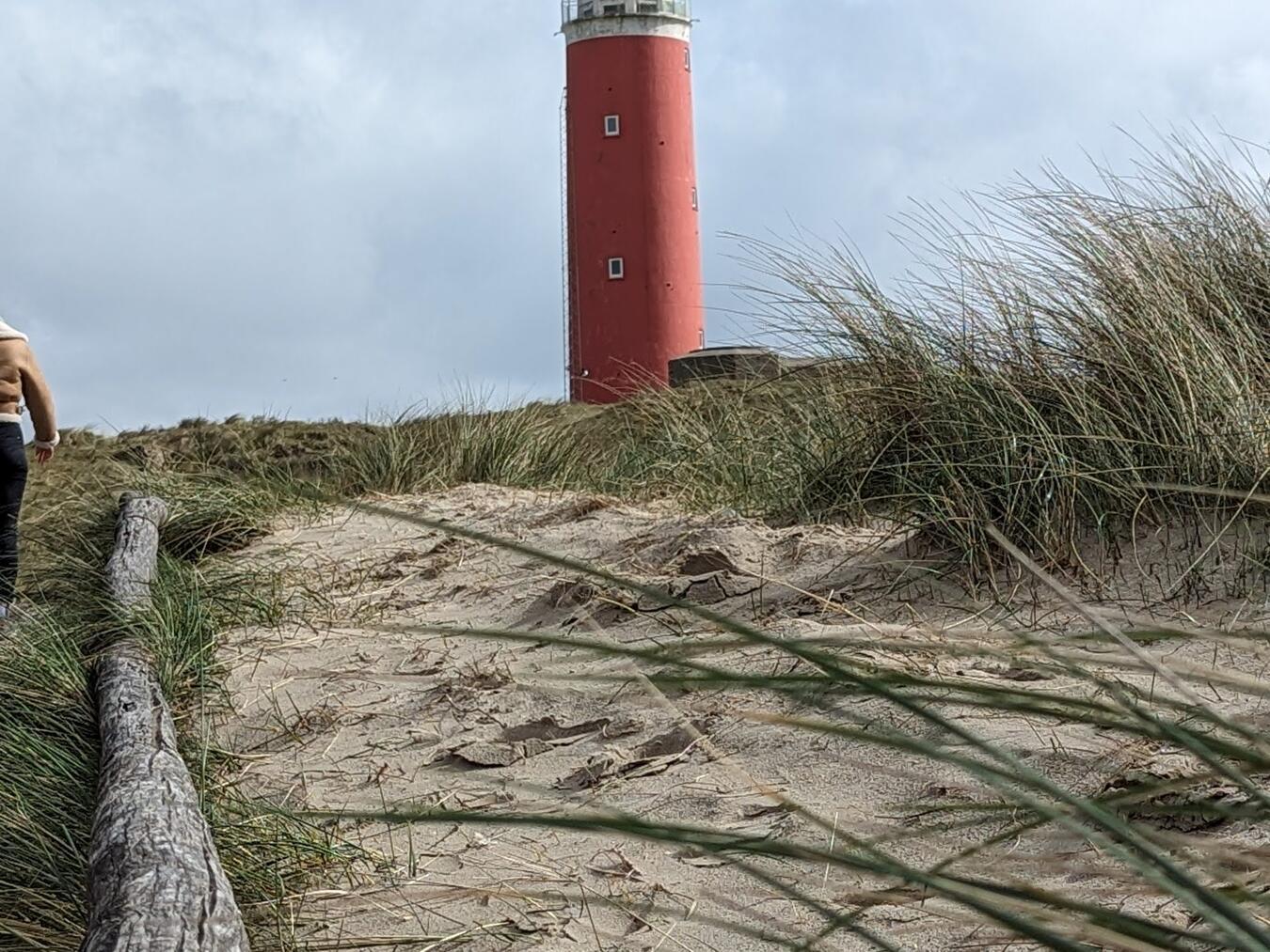 Von Schafen, Strandräubern und einem Seidenkleid 