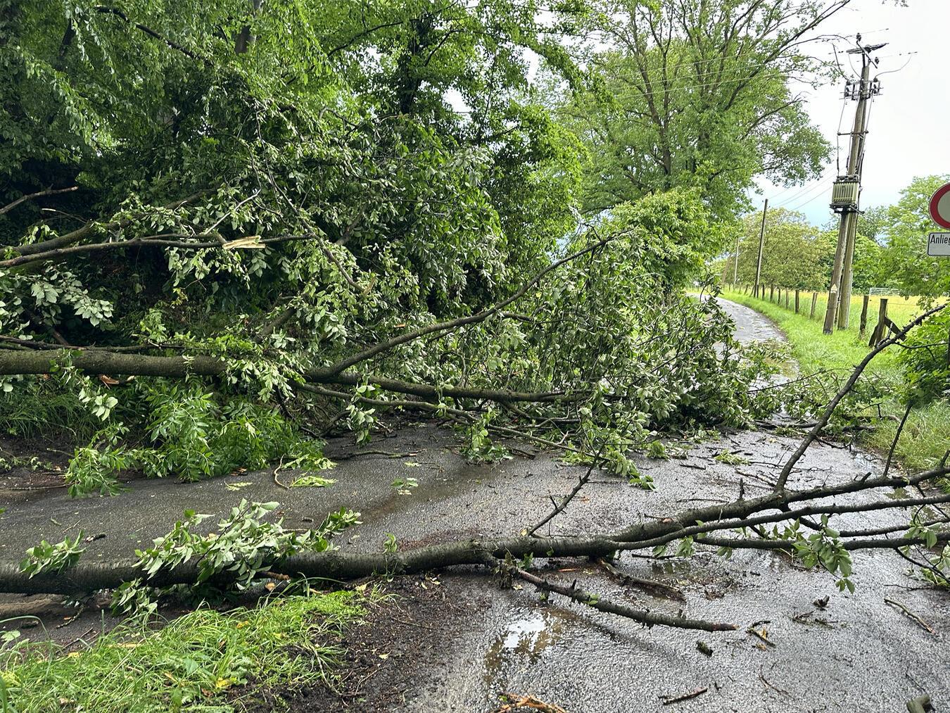 Unwetterbilanz der Feuerwehr Goch – neun Einsätze im Stadtgebiet 