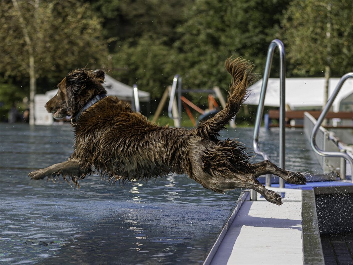 Spaßbad Hexenland ab dem 14.September geschlossen
