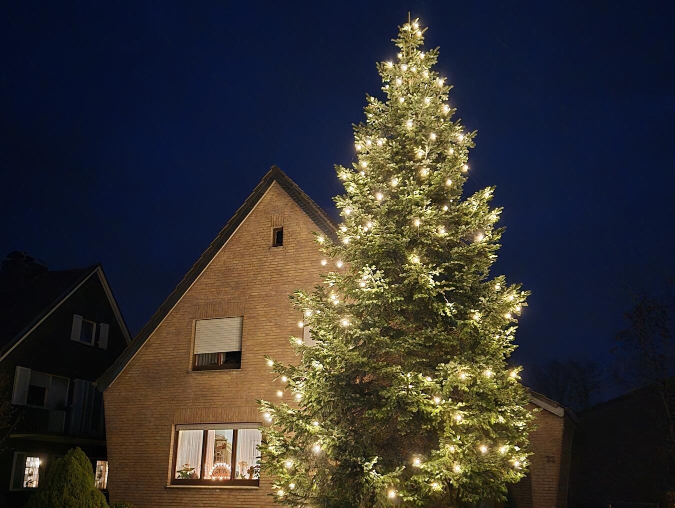 Xanten: Die Nordmanntanne in der Hagelkreuzstraße leuchtet 