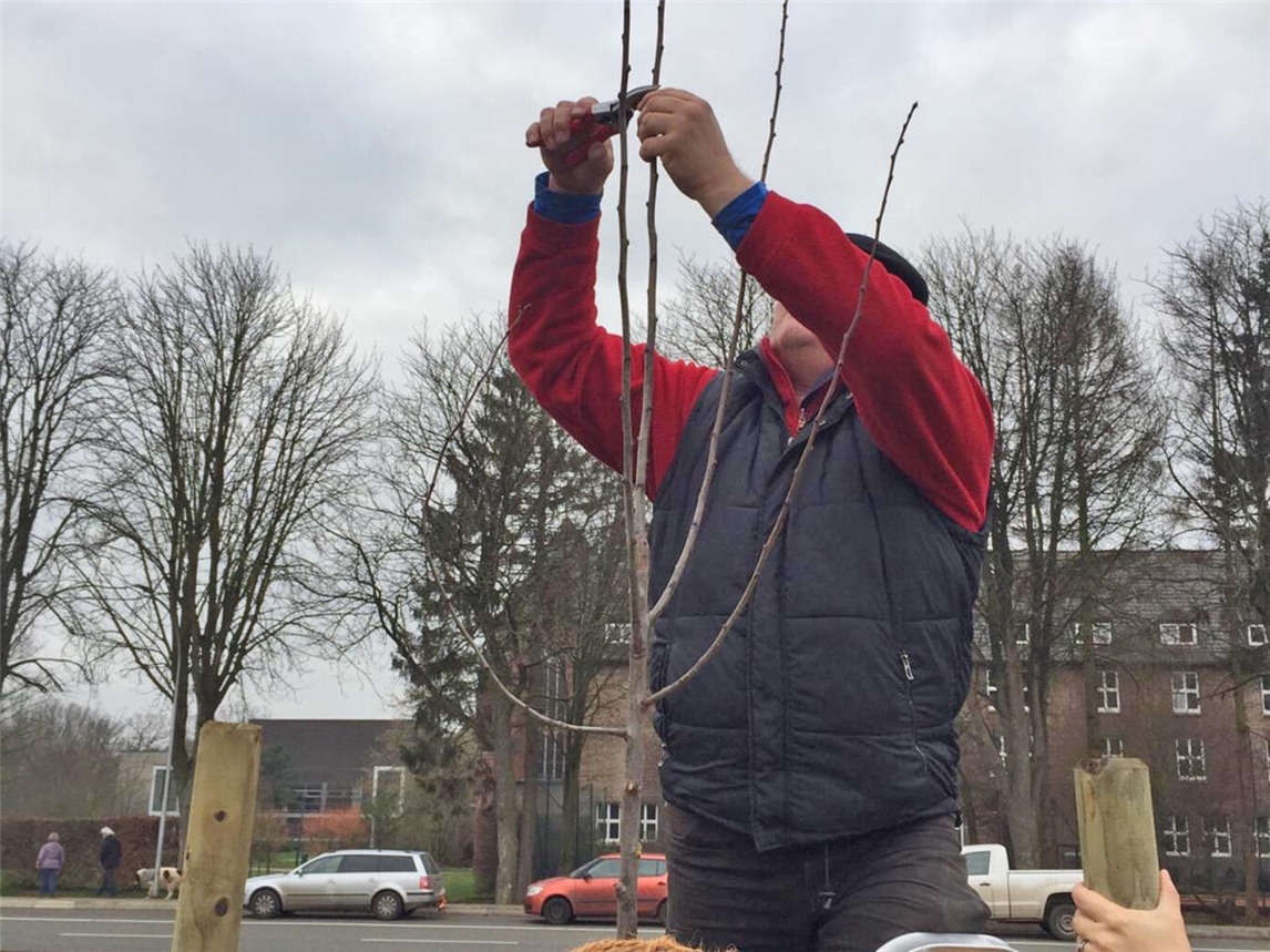 Obstbaumschnitt im Winter