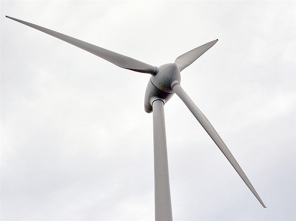 Einigung zum Schutz von Seeadler und Rotmilan