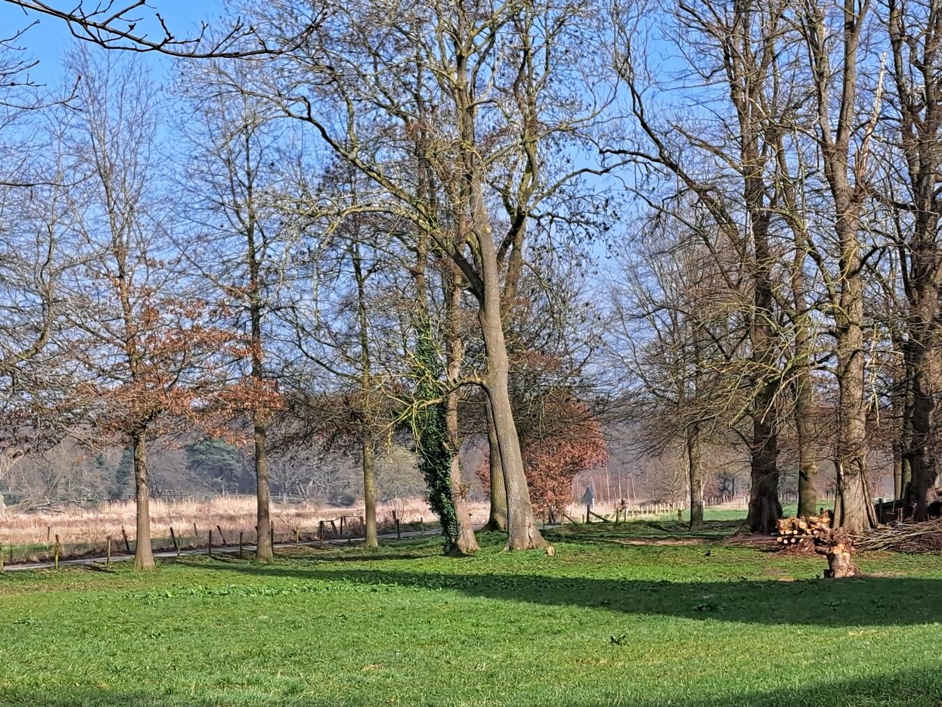 Waldbaden-Spaziergang im Klever Reichswald 