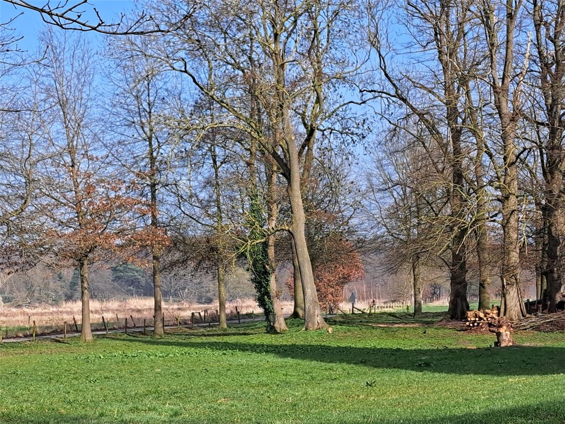 Waldbaden-Spaziergang im Klever Reichswald