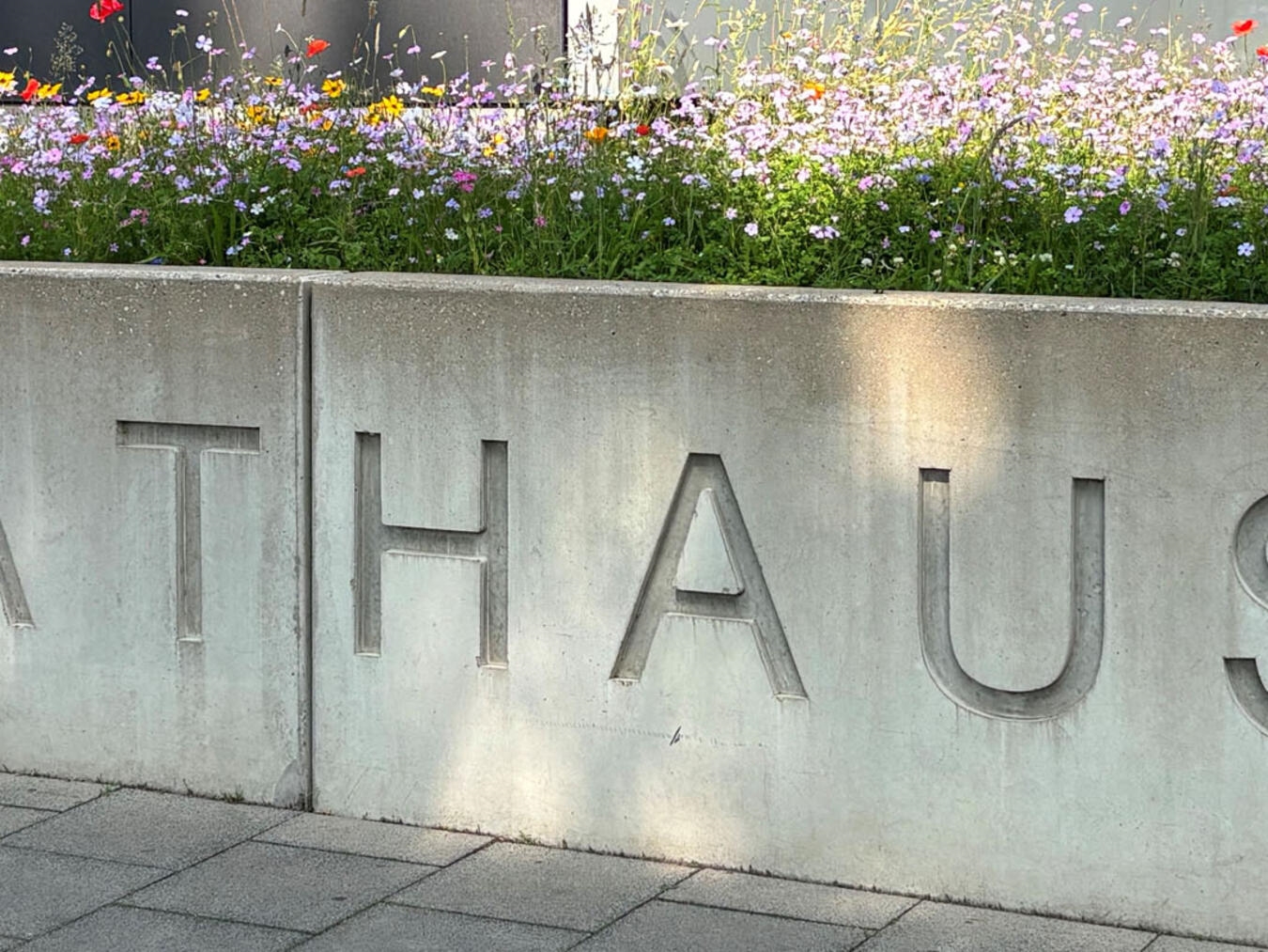 Treffpunkt für alle Generationen im Gocher Stadtpark gewünscht 