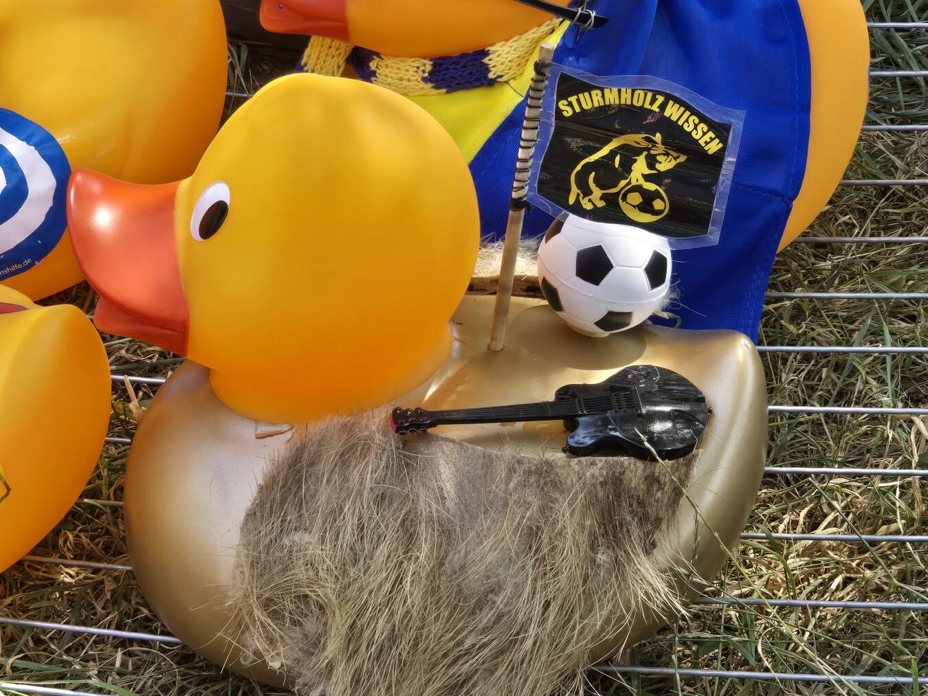 115 Enten sorgen für Spannung bis zum Zieleinlauf  