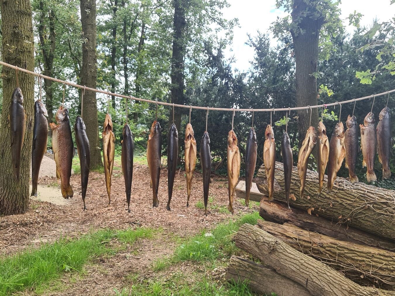 Großes Grill- und Räucherfest am idyllischen See 