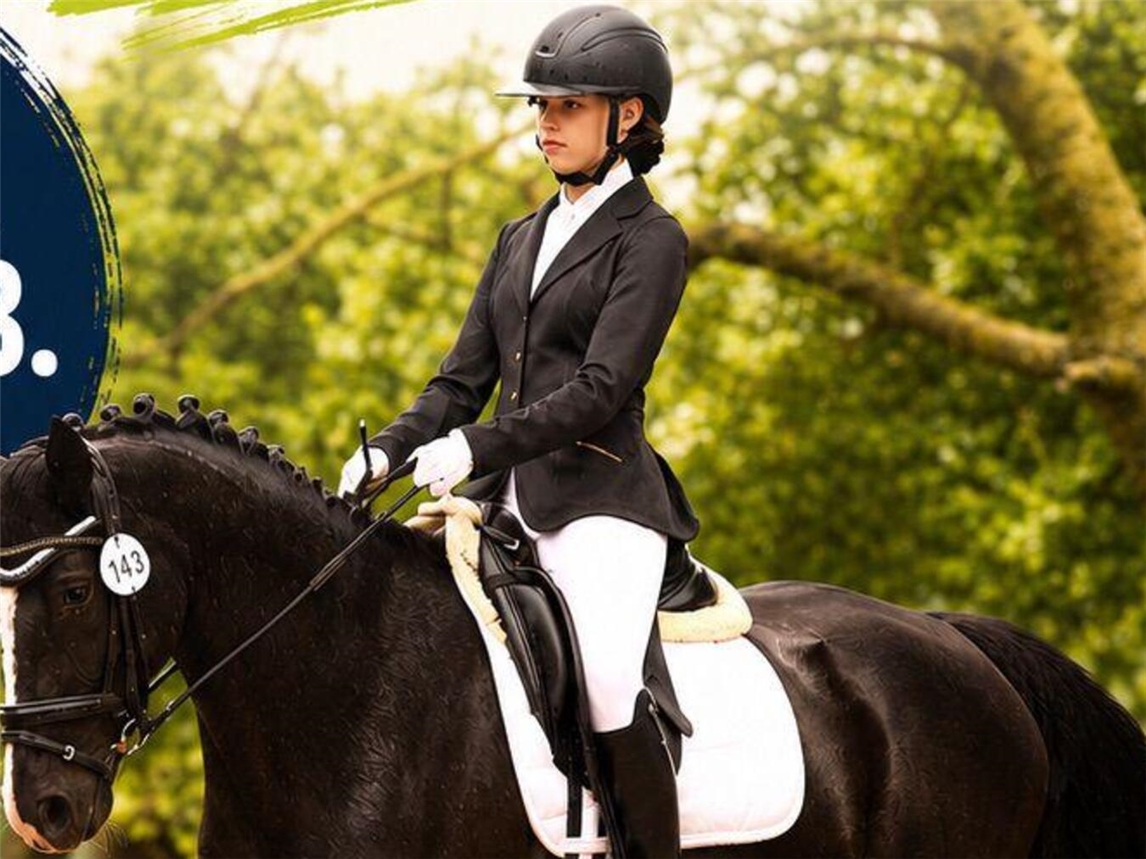 Sommerturnier verspricht hochklassigen Reitsport
