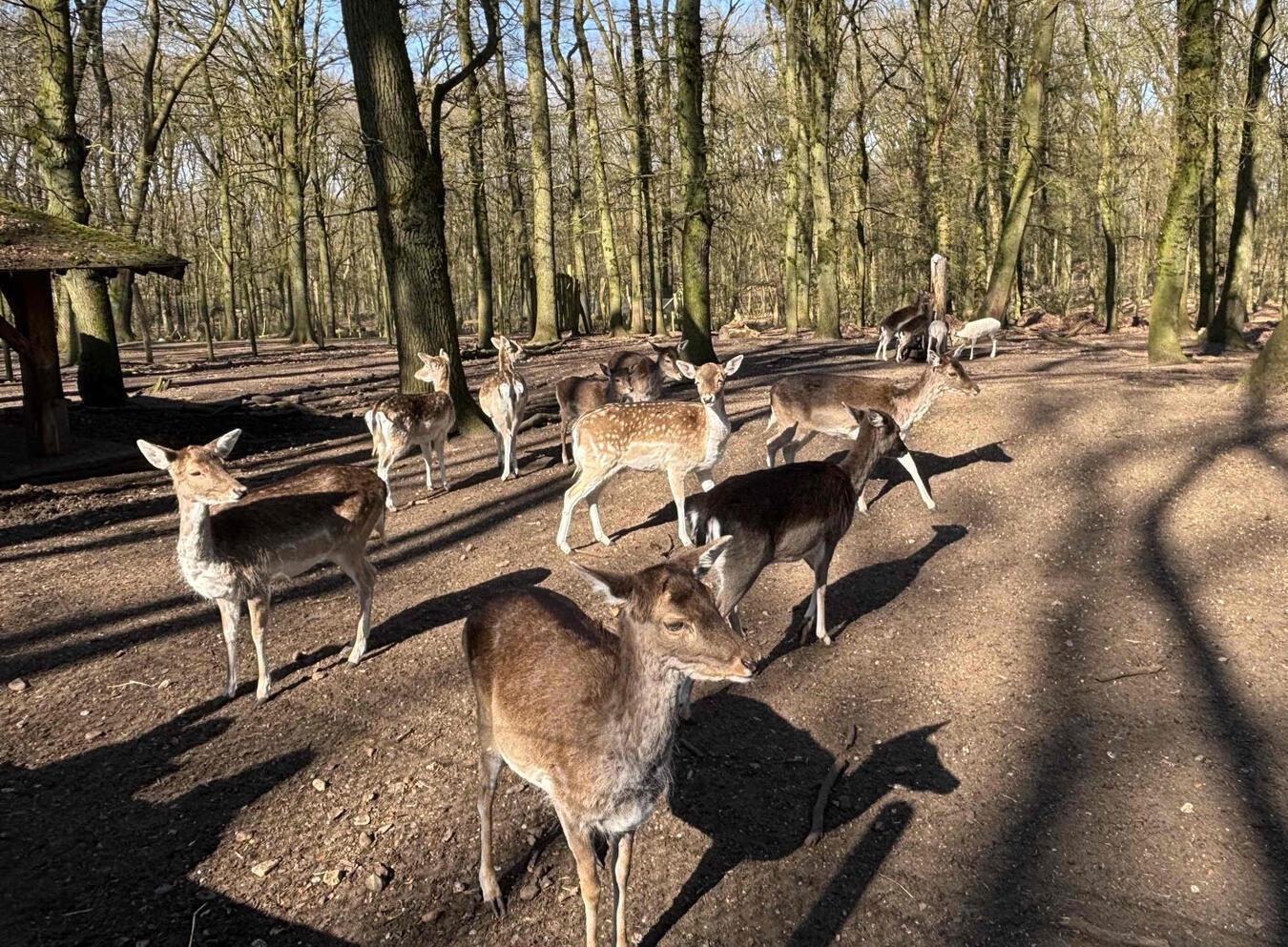 Natur erleben: 2. Familientag auf dem Oermter Berg 
