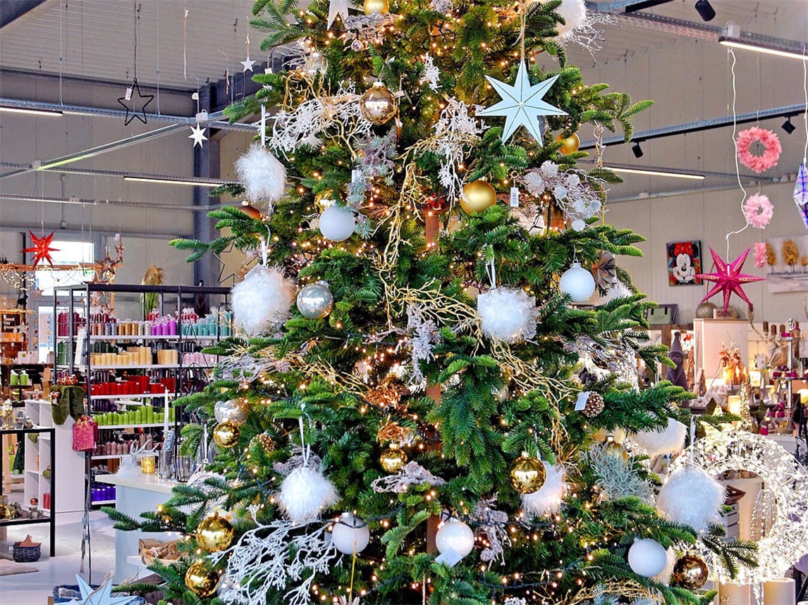 Stadt Kevelaer sucht geeignete Weihnachtsbäume 