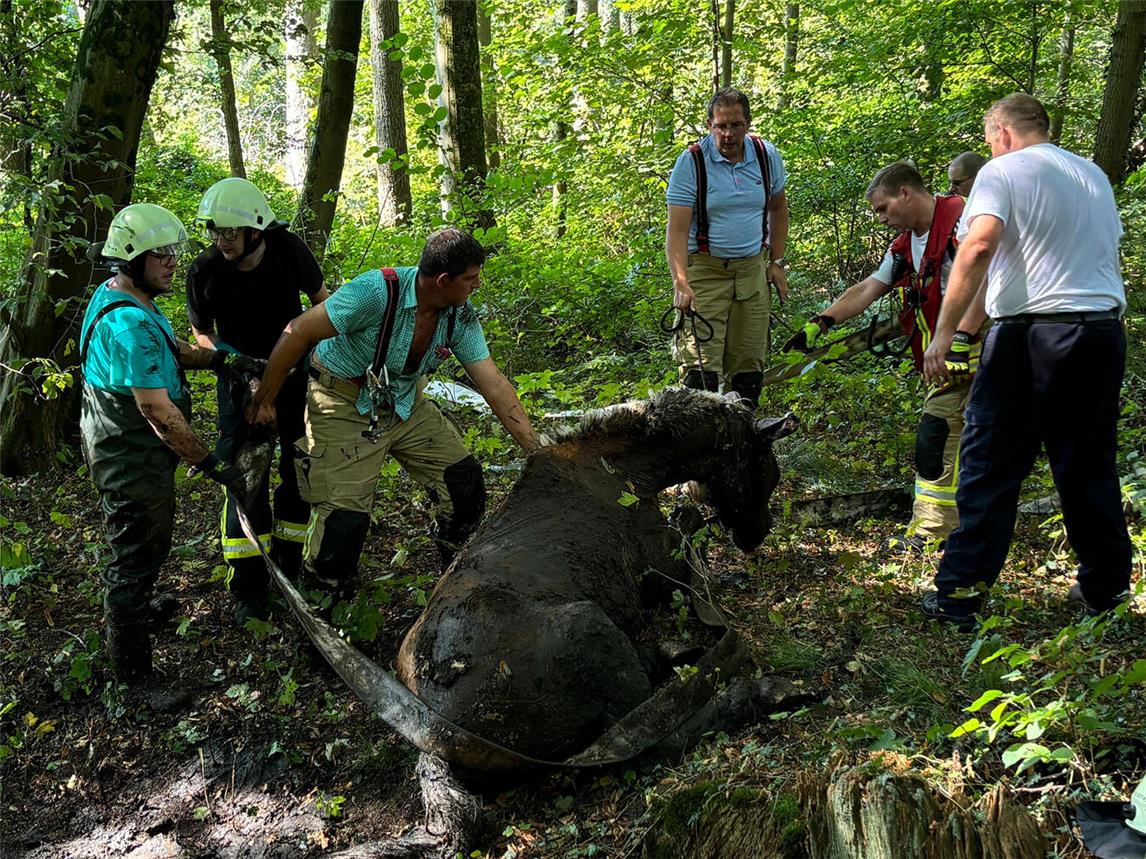 Gocher Feuerwehr rettet Pferd aus Morast