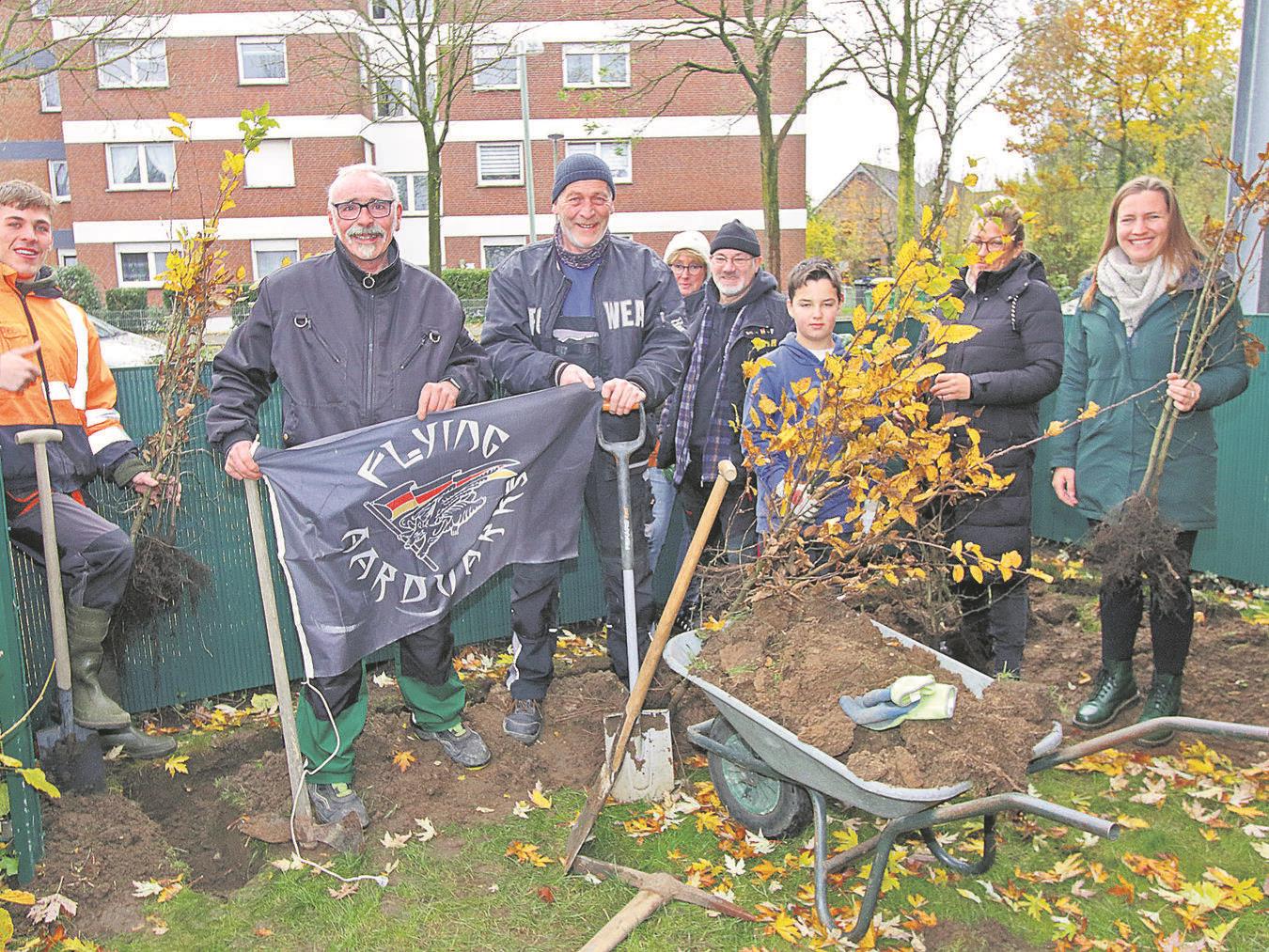 Hainbuchenhecke für die Kita St. Michael in Geldern 