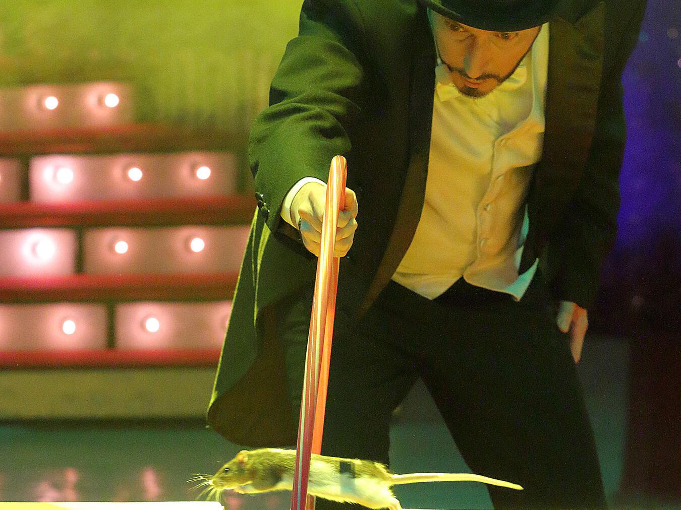 Verblüffende Artistik im Xantener Weihnachtscircus Verblüffende Artistik im Xantener Weihnachtscircus