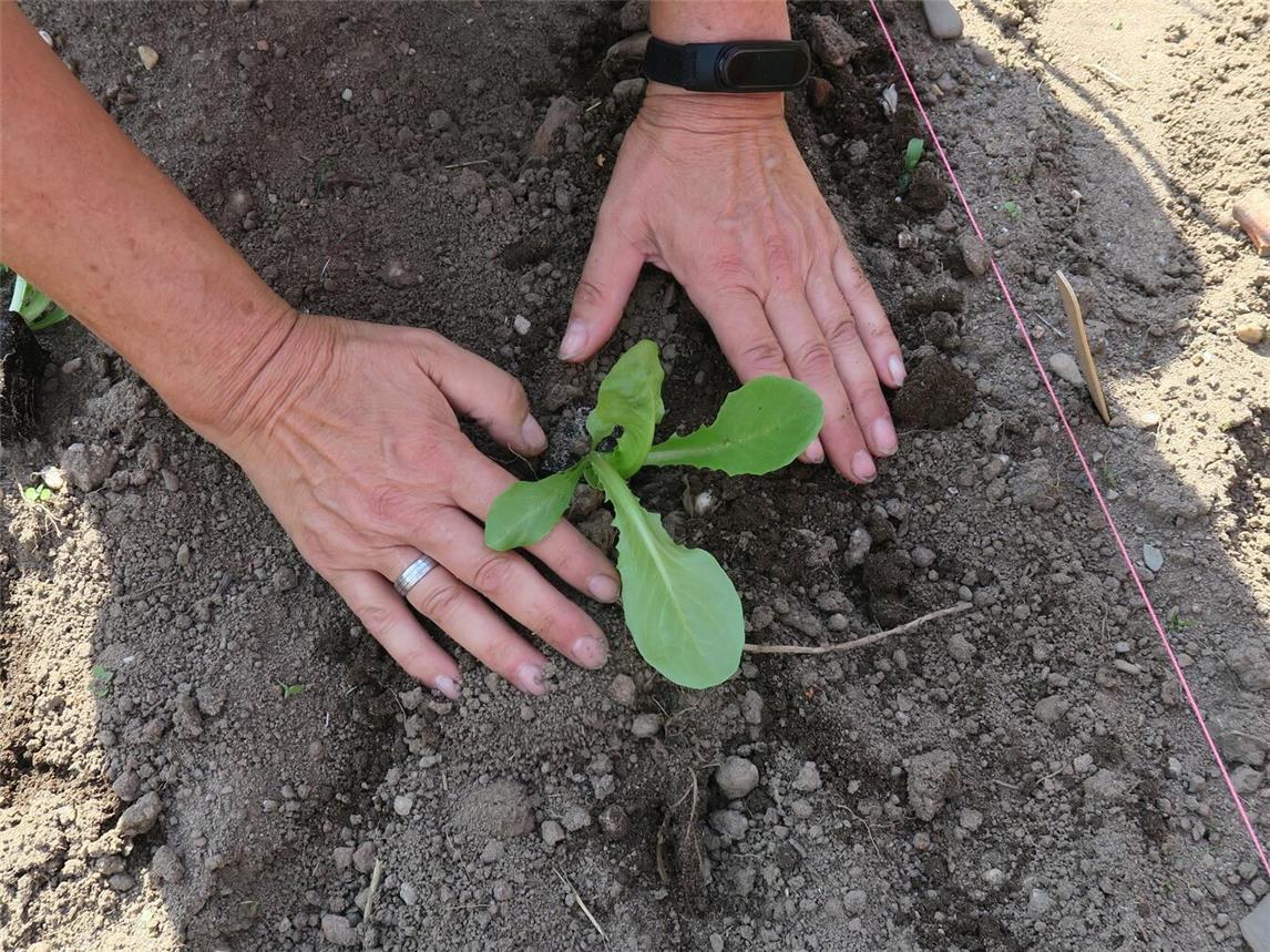 Frühjahrsworkshop im Kneipp Erlebnis-Garten
