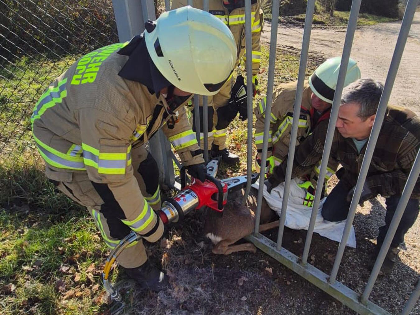 Feuerwehr rettet Reh aus misslicher Lage 