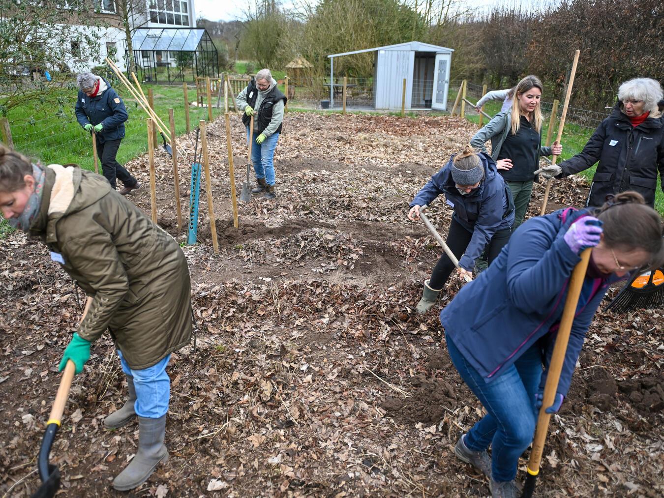 Beete und Wege einrichten 