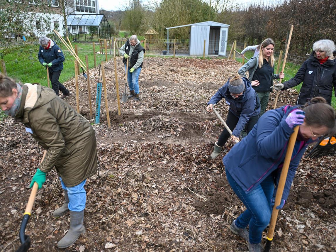 Beete und Wege einrichten