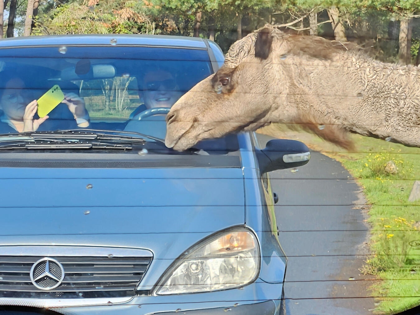 Blick in den Rückspiegel bei der Auto-Safari. NN-Foto: vs