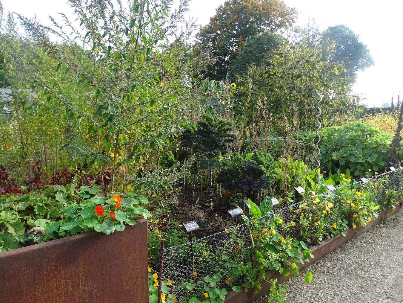 Führung im Schaubauerngarten St. Bernardin in Kapellen Blick in den Schaubauerngarten. Foto: M. Hertel