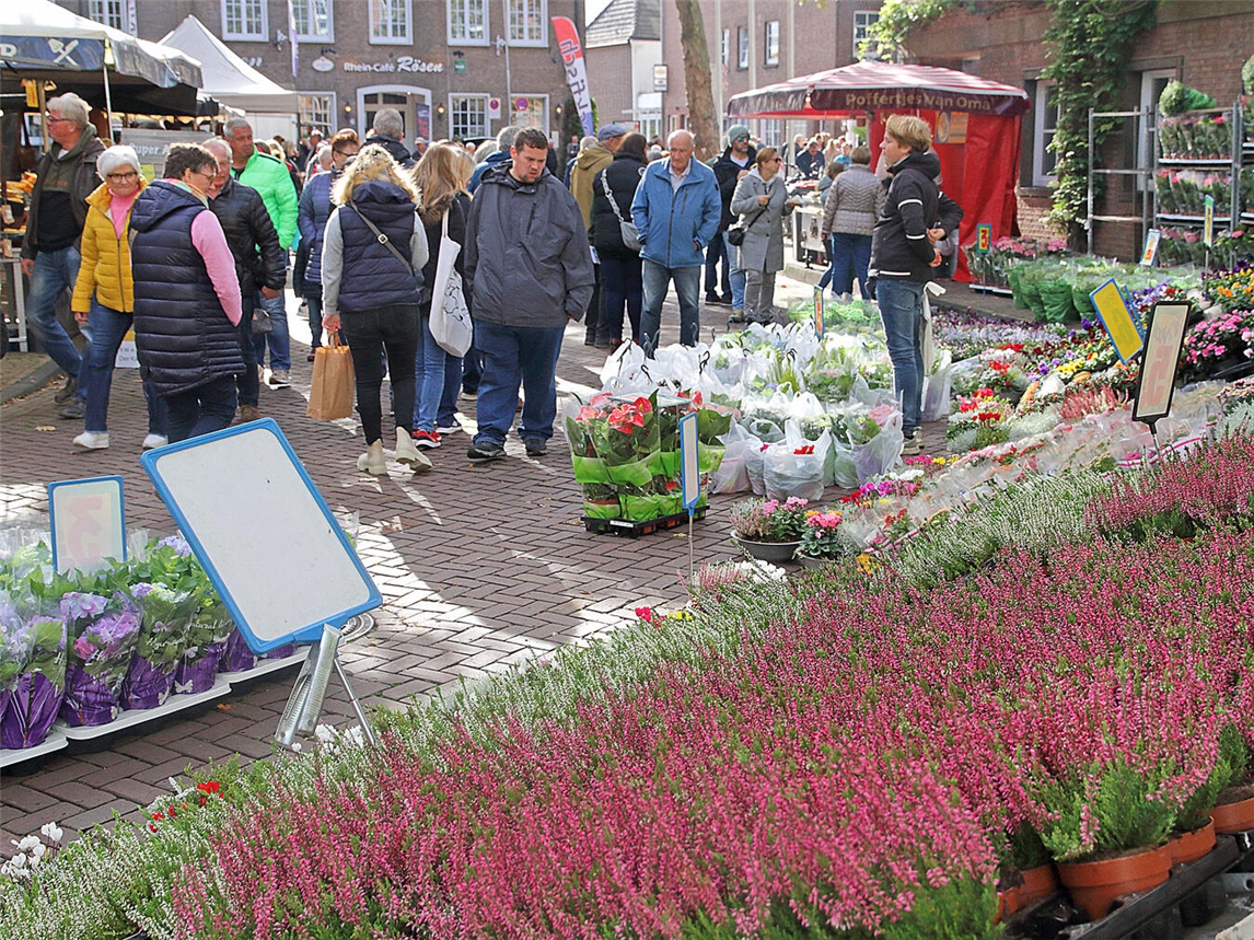 Blumen, Autos, Musik und noch viel mehr verspricht das Rheinfest in Rees wieder am Sonntag. NN-Foto: Theo Leie
