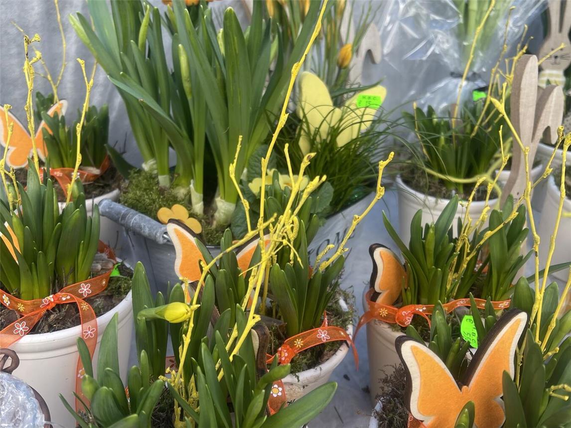 Blumen, Pflanzen und Floristik präsentieren die Aussteller am kommenden Wochenende in Walbeck.Fotos: privat