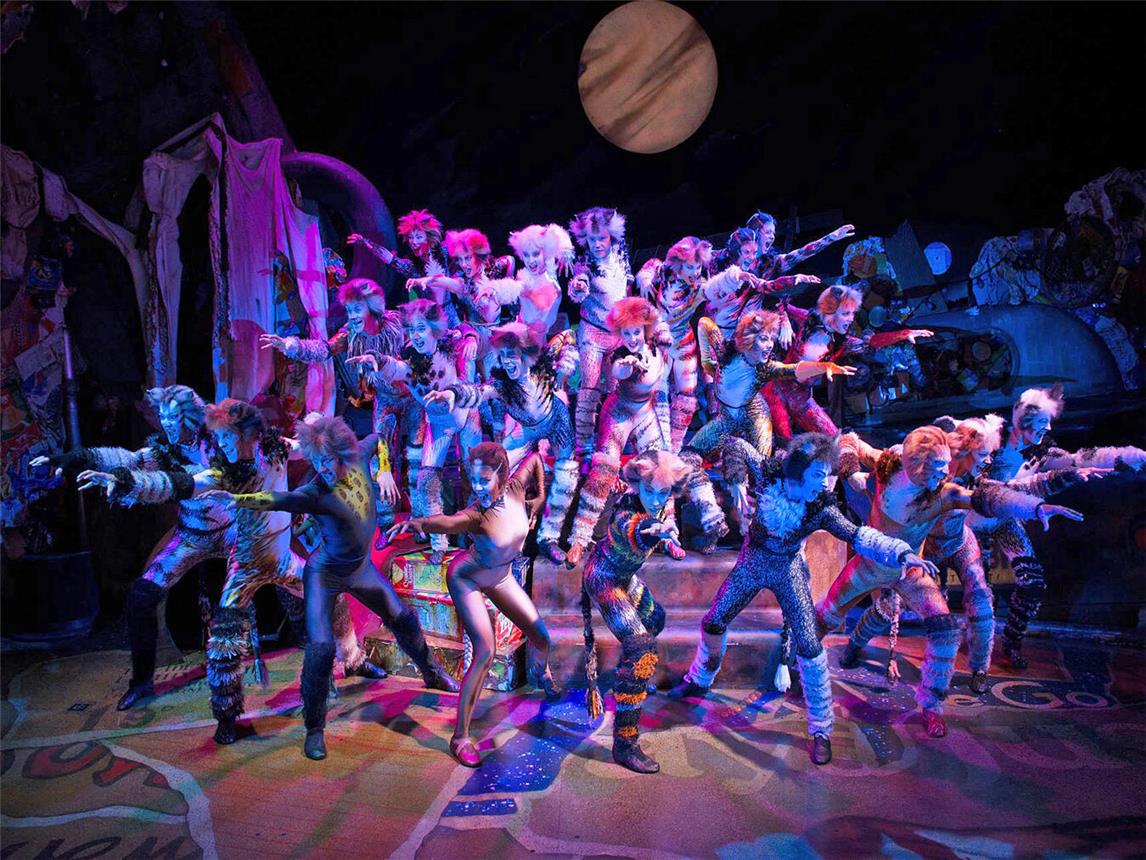 Cats erobern erstmals die Bühne der Kölner Philharmonie vom 6. bis 17. August. Foto: Allessandro Pinna