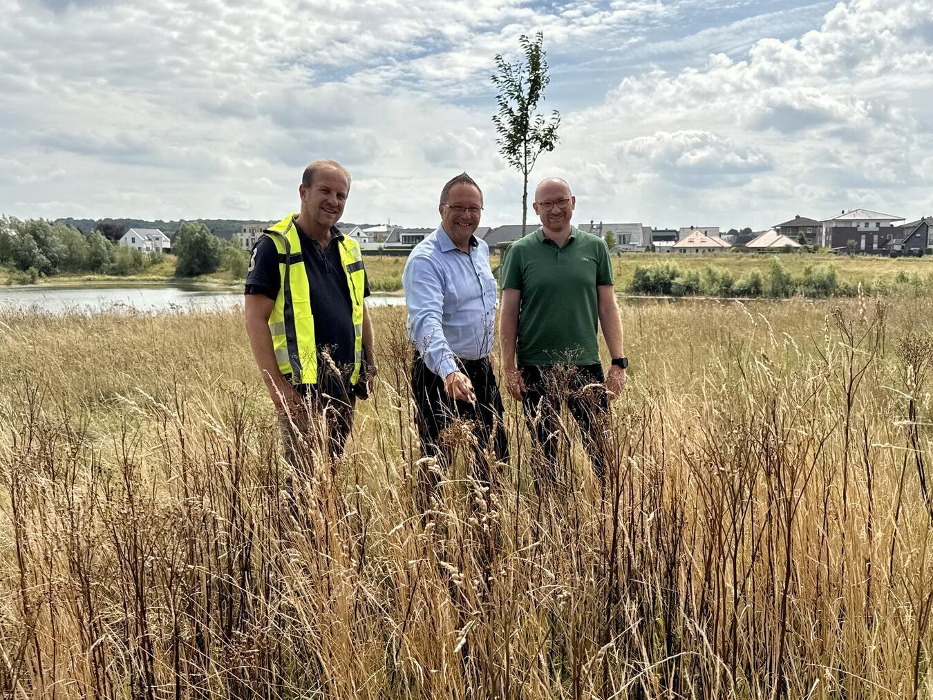 Christian Schmitz (DBX), Xantens Bürgermeister Thomas Görtz und Xantens Technischer Dezernent Niklas Franke (v.l.) im Feld am Prekkeesee, wo der Blutbär schon ganze Arbeit geleistet hat. NN-Foto: SP