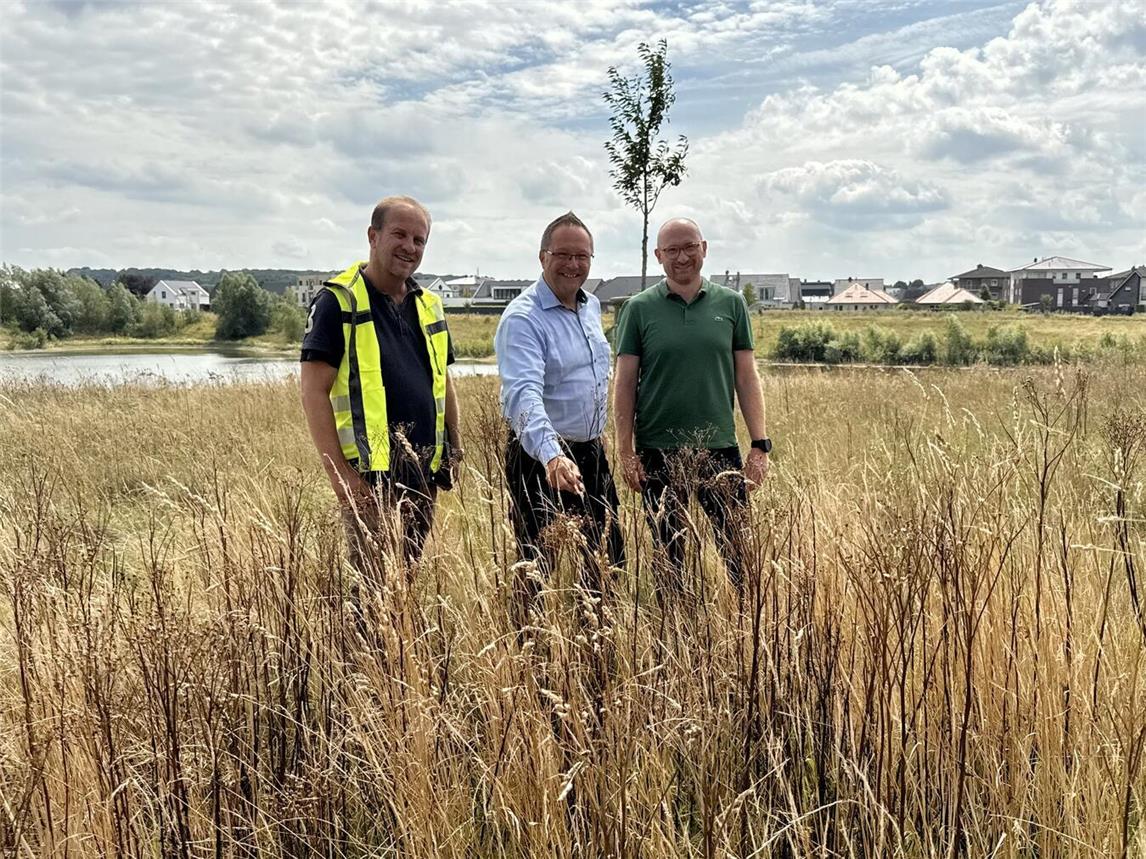 Christian Schmitz (DBX), Xantens Bürgermeister Thomas Görtz und Xantens Technischer Dezernent Niklas Franke (v.l.) im Feld am Prekkeesee, wo der Blutbär schon ganze Arbeit geleistet hat. NN-Foto: SP