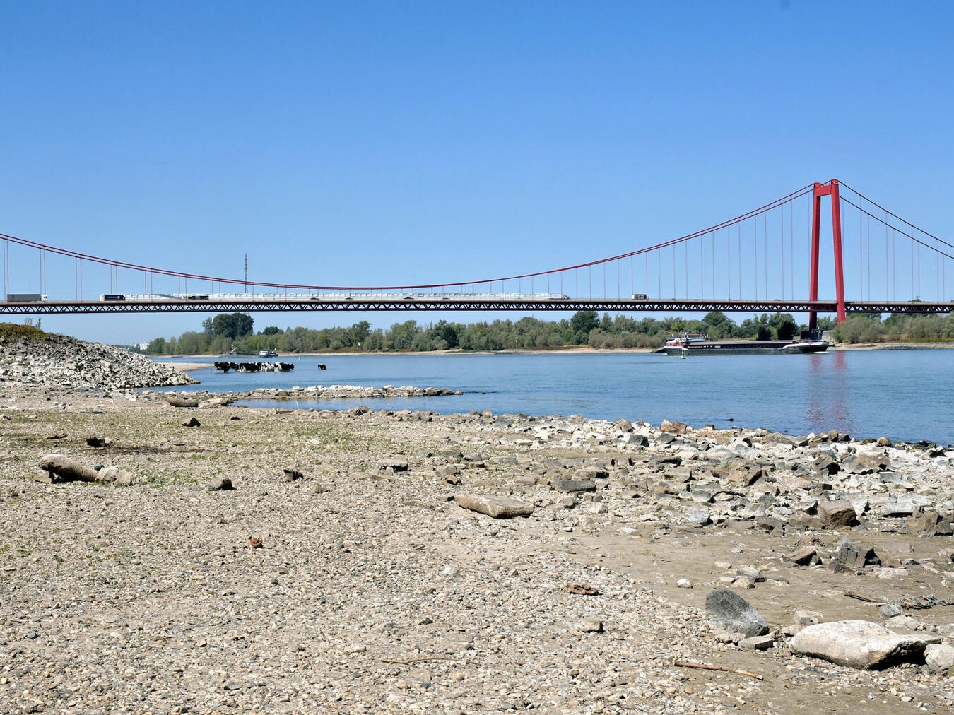 Rhein bei Emmerich und Rees: Niedrigwasser schränkt Schifffahrt immer stärker ein "Rheinbrücke bei Emmerich im Trockenen, niedriger Wasserstand, Klimawandel"