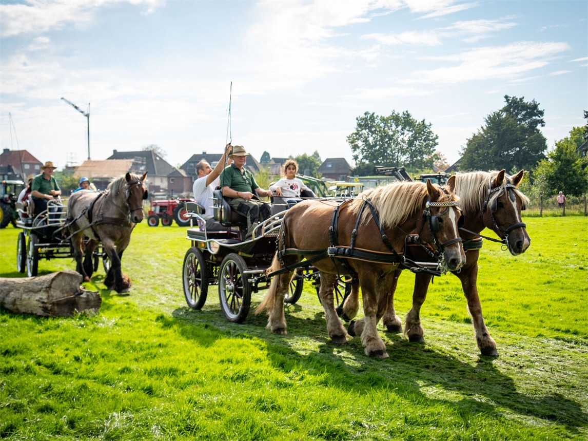 Das diesjährige Tierparkfest hielt einiges in petto für große und kleine Besucher. NN-Fotos: Gerhard Seybert