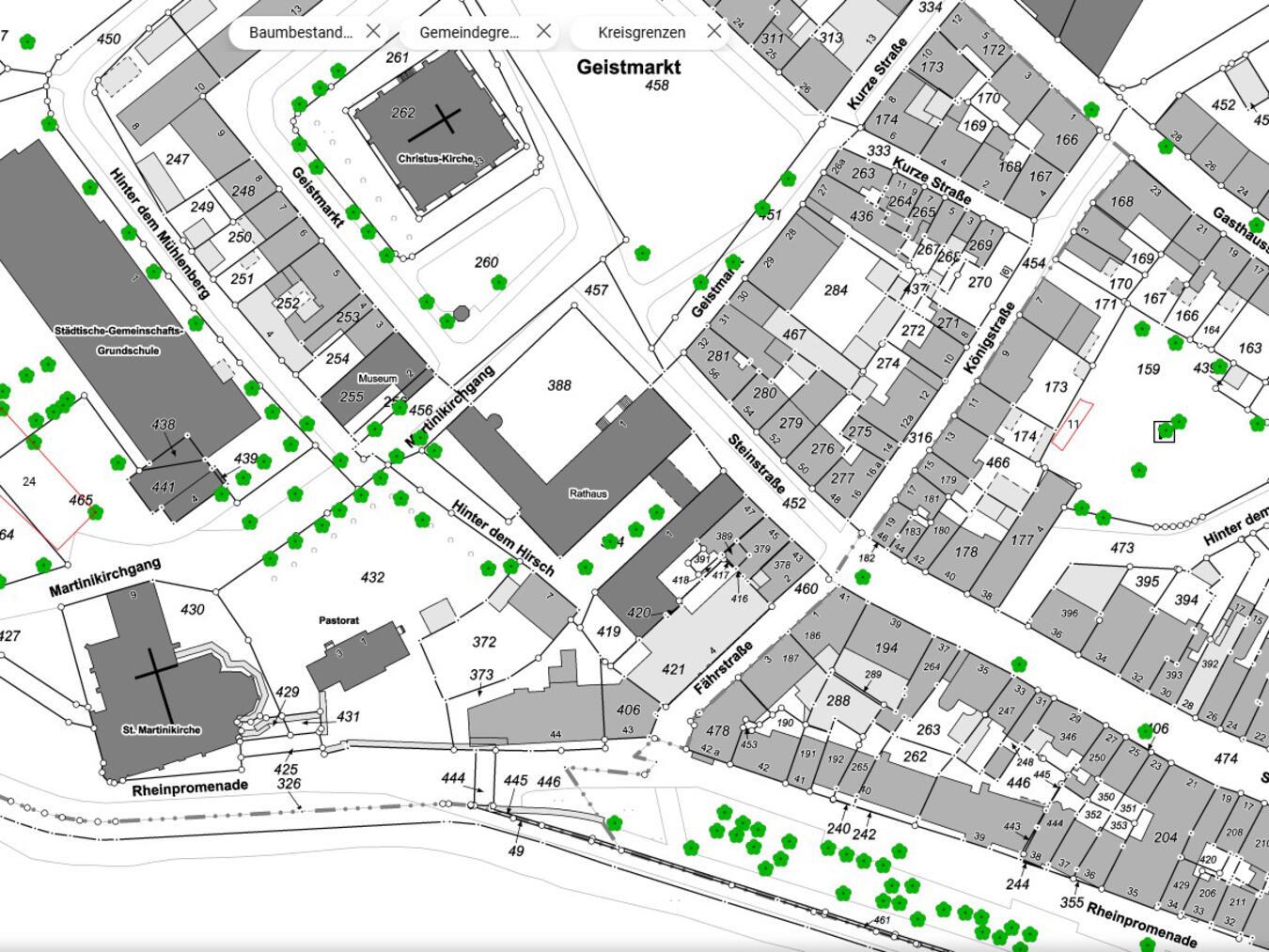 Das digitale Baumkataster auf emmerich.de: die grünen Blüten markieren die einzelnen Bäume, zu denen Informationen abrufbar sind.Foto: Stadt Emmerich