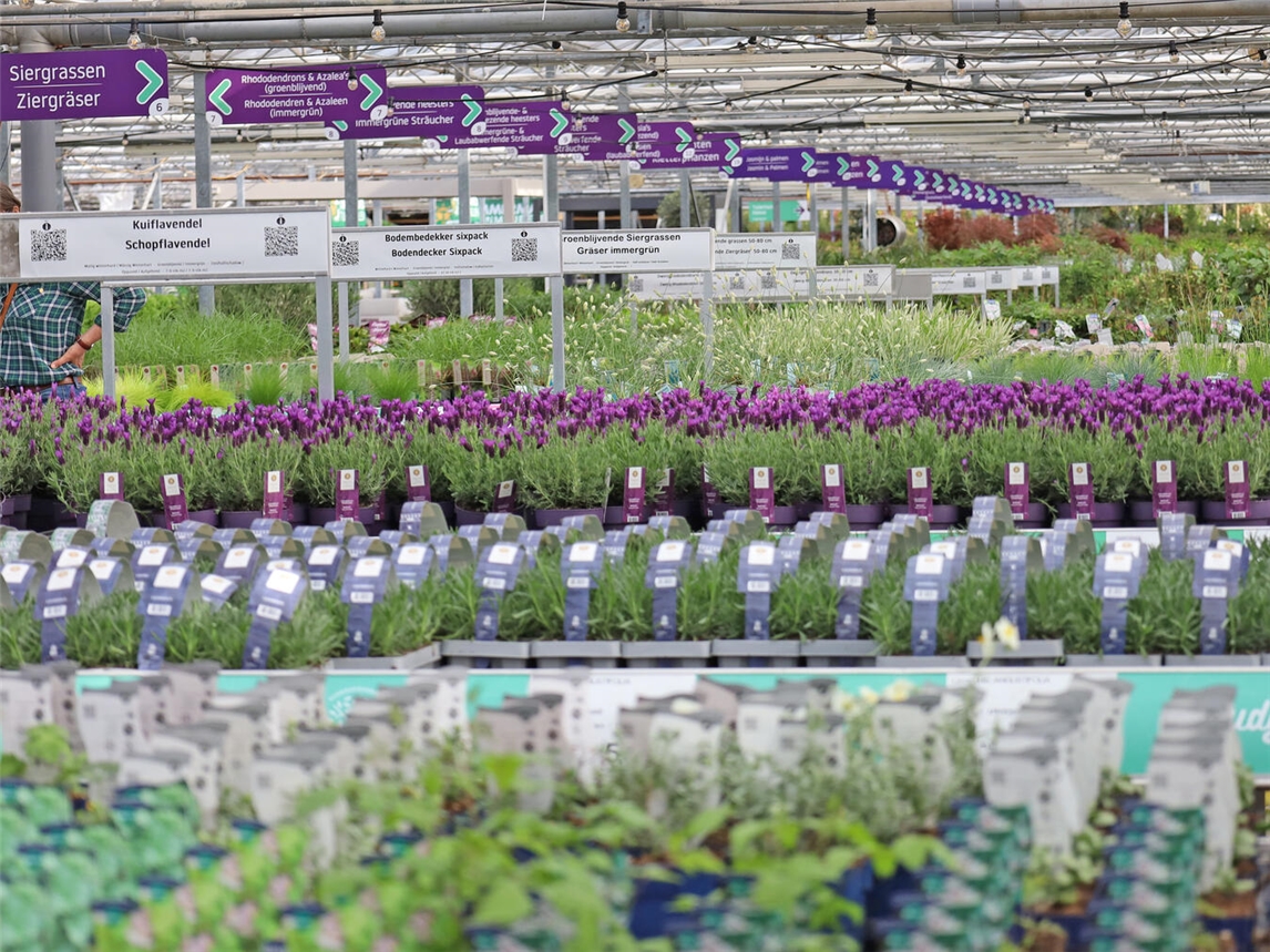 Das Gartencenter Budgetplant präsentiert auf einer Fläche von 45.000 Quadratmetern eine große Auswahl an Pflanzen für den Garten, Terrasse und Balkon. 