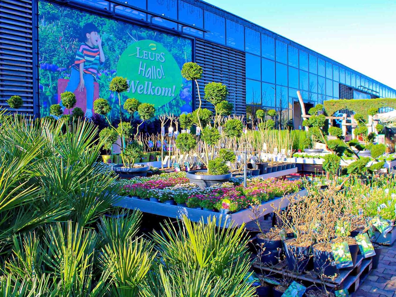 "Gartencenter Leurs geöffnet über Ostern, bunte Frühlingsblumen im Vordergrund"