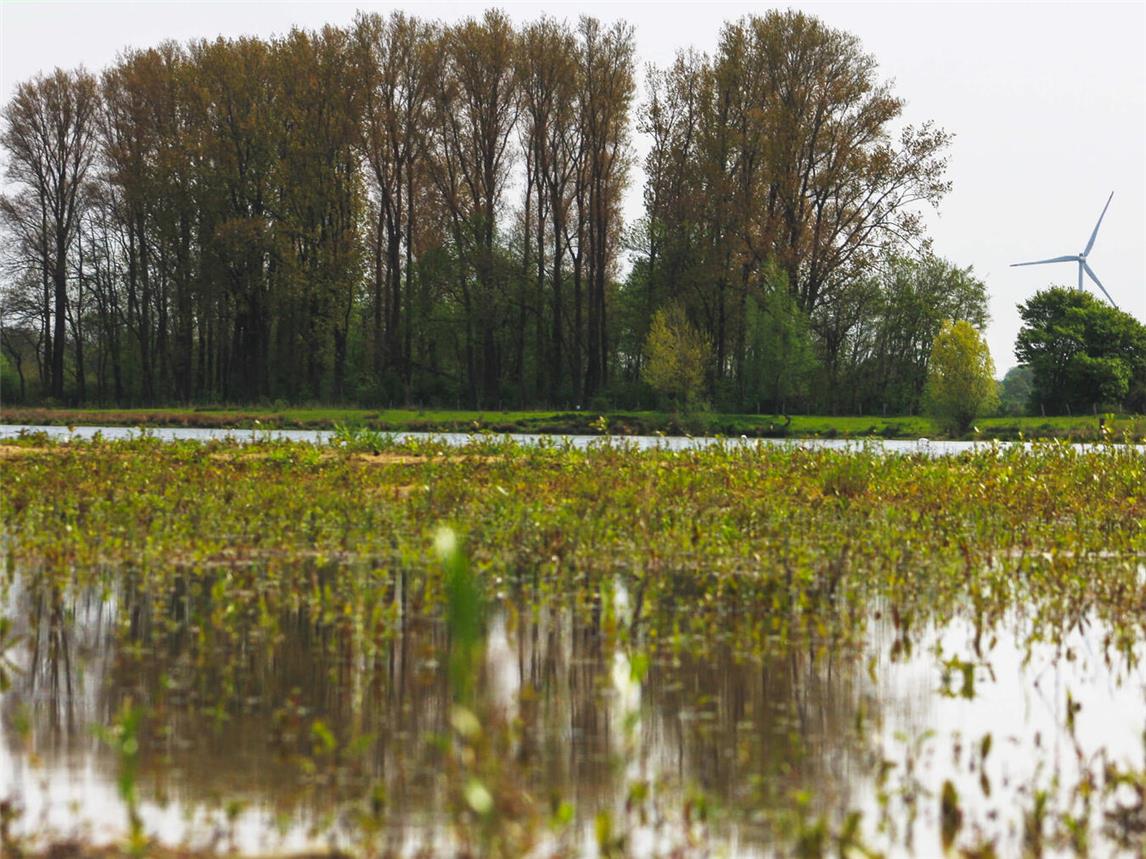 Das Kieswerk Reeser Bruch bietet laut Monitoring-Bericht des Naturschutzzentrums im Kreis Kleve einen Lebensraum für zahlreiche Arten. Foto: Holemans