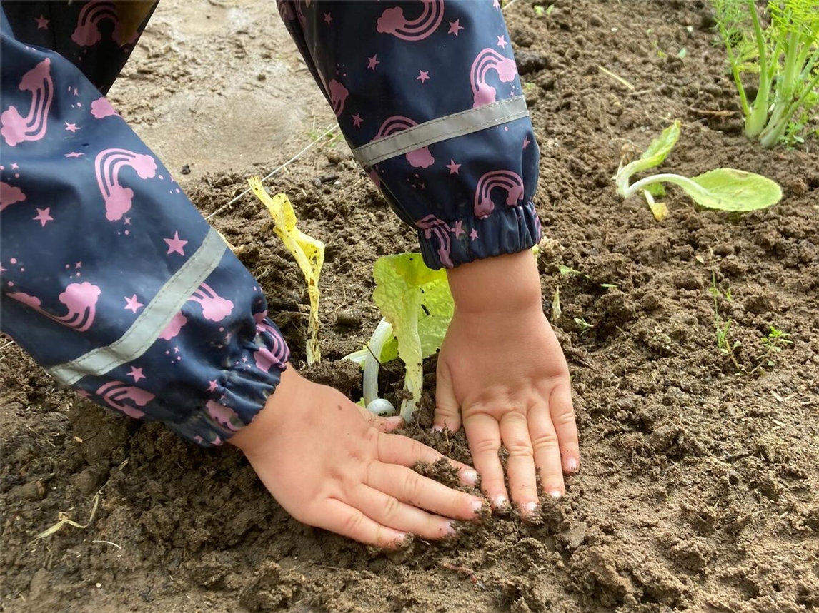 Das Kräuterjahr für „Kneipp-Kinder“ im Gelderland beginnt. Foto: privat