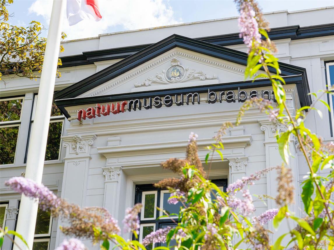 Das Natuurmuseum Brabant bietet interaktive Ausstellungen in einer prächtigen Villa. Foto: privat