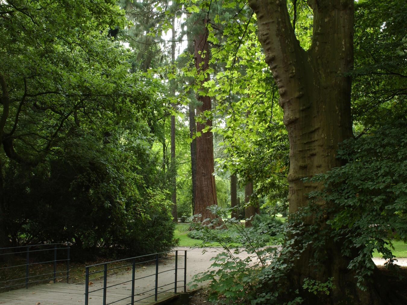 Das Programm startet am 20. Oktober um 11 Uhr am Parkplatz an der Wasserburgallee. Foto: WTM