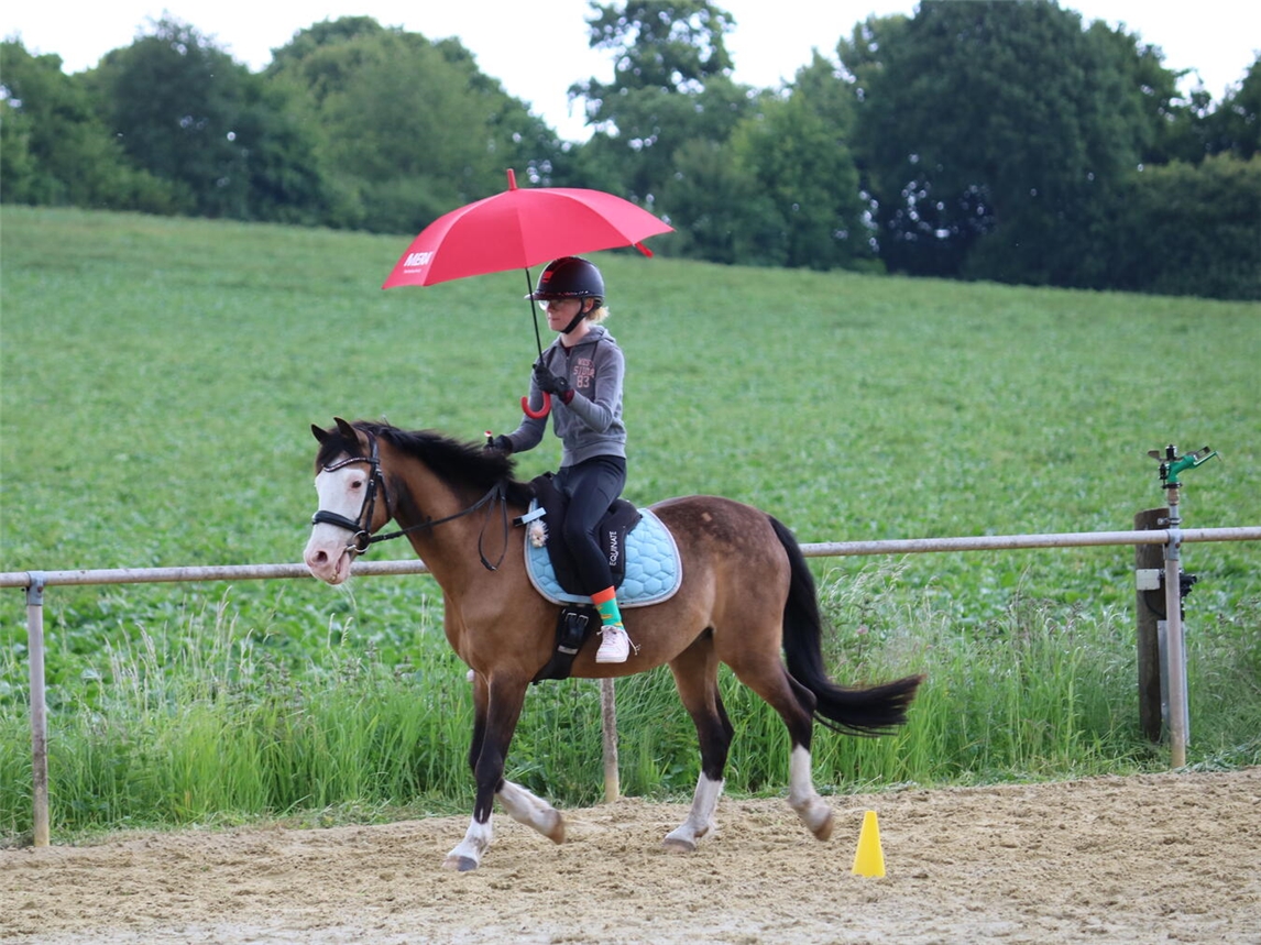 Reiter auf Pferd mit Regenschirm beim Reiterverein Kranenburg im Regen.