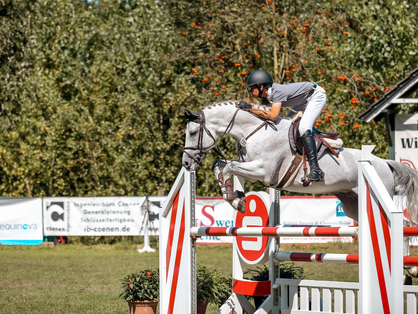 Reitverein Asperden bittet wieder zum Sommerturnier Das „Schimmelspringen“ wird bestimmt wieder ein Highlight sein. Foto: Nadine Peters