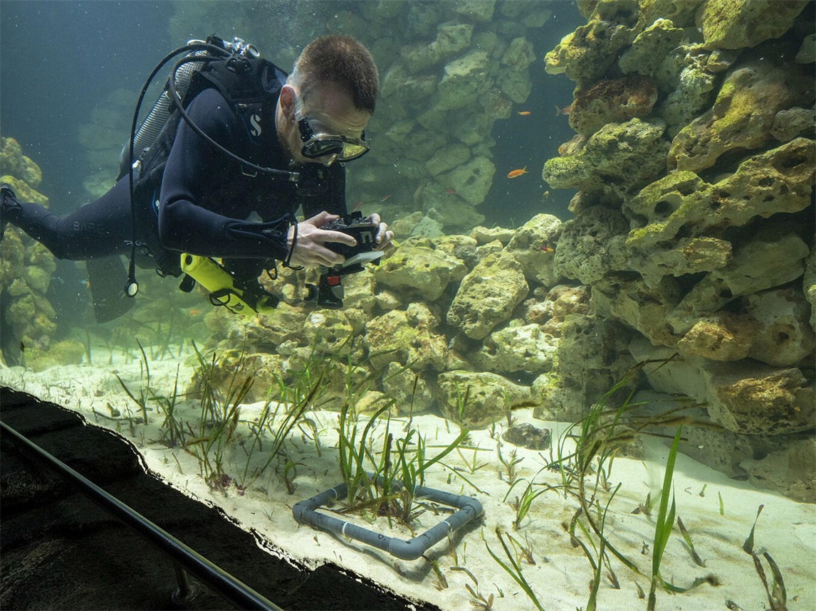 Das „Team von Burgers’ Ocean arbeitet an optimalen Bedingungen für Meeresprojekte“.