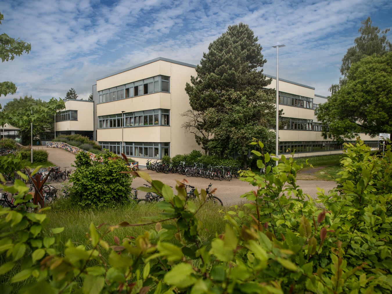 "Willibrord Gymnasium Emmerich, aktiv im Netzwerk 'Schule ohne Rassismus – Schule mit Courage'"